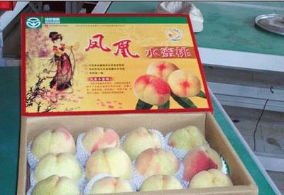 张家港水蜜桃